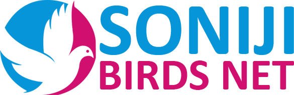 Soniji Birds Net